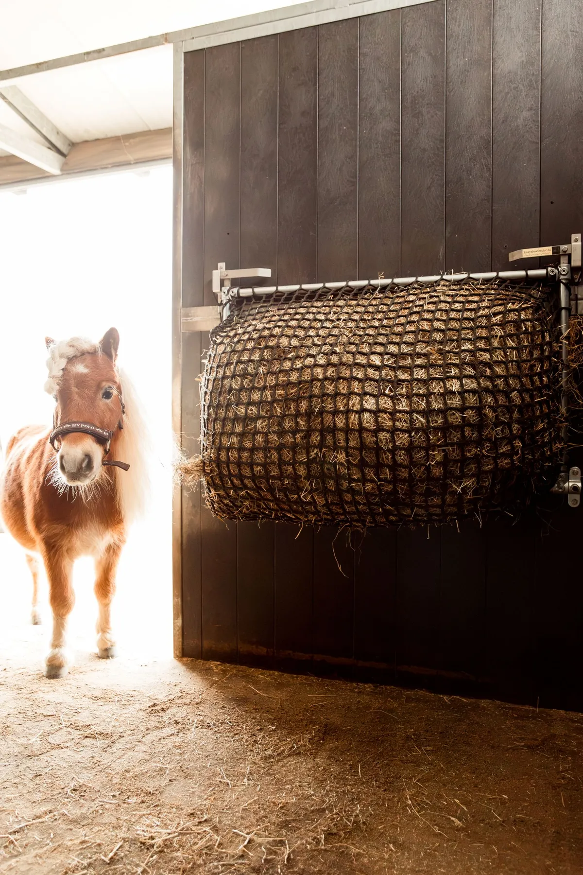 Shetlander pony kijkt de stal in, met op de achtergrond de volledig gevulde Easy Slowfeeder
