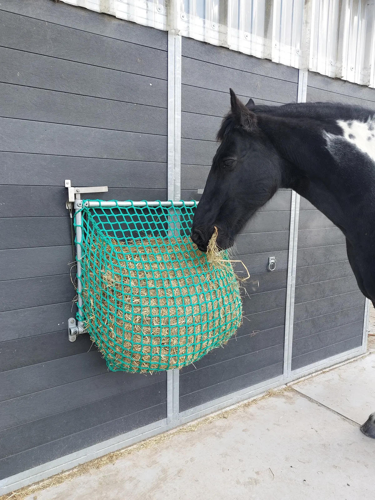 Bonte pony eet rustig hooi uit een groen Easy Slowfeeder-net