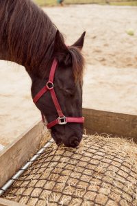 Frame met slowfeeder net voor hooibak