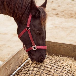 Frame met slowfeeder net voor hooibak