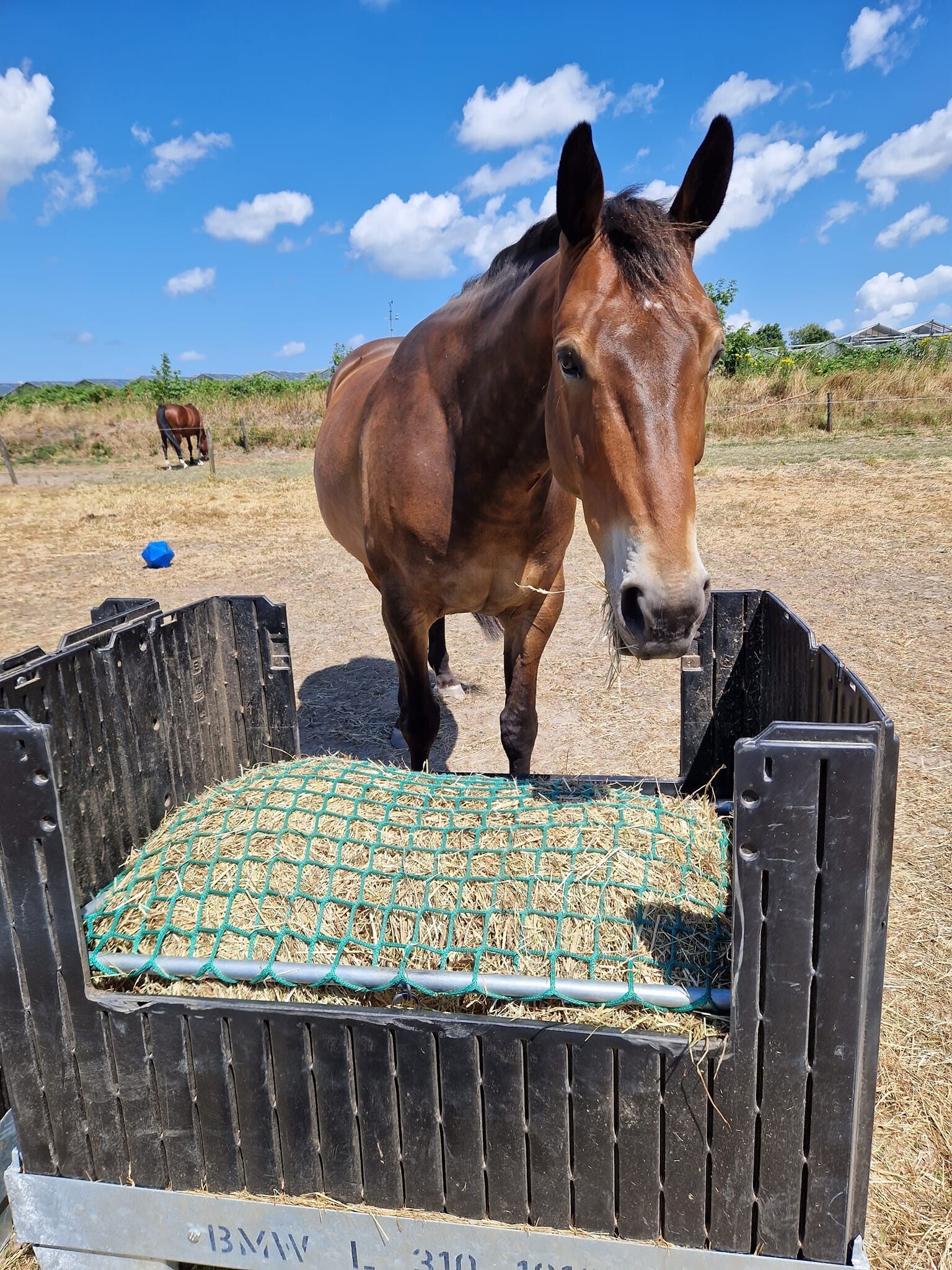 Frame with slowfeeder net for hay rack - Image 2