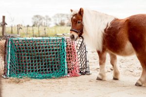 Los net voor Easy Slowfeeder