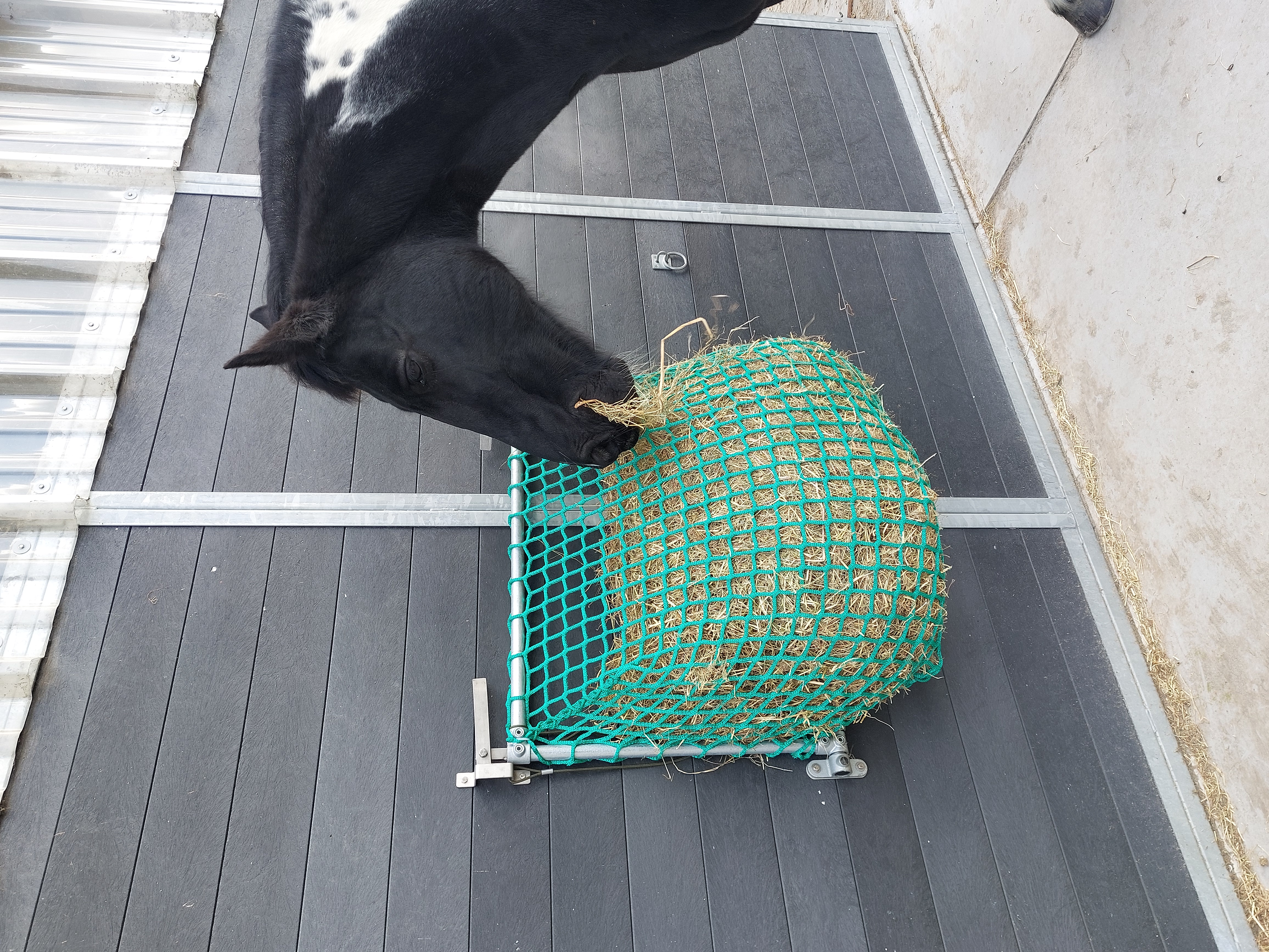 Easy Slowfeeder hooinet van bovenaf bevestigd aan de stalwand