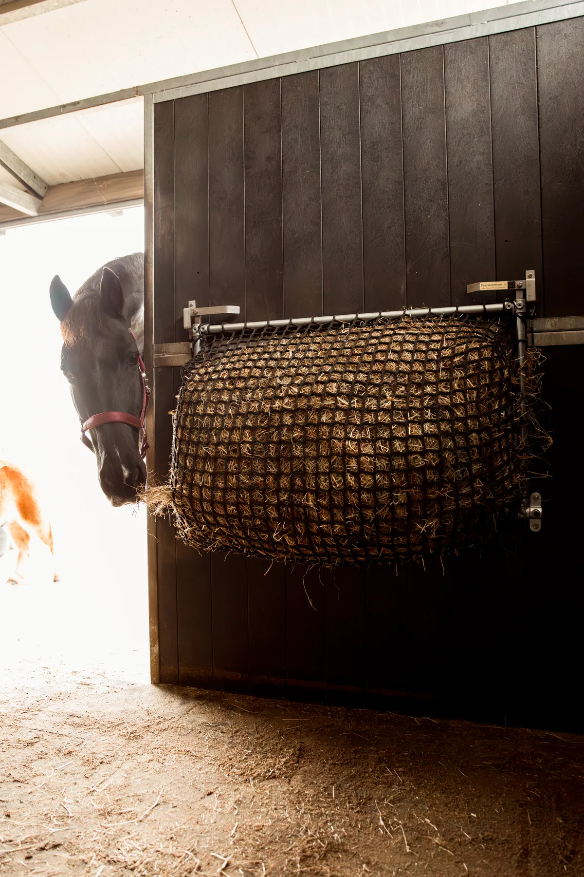 Pony kijkt de stal in waar een paard rustig uit de gevulde Easy Slowfeeder eet